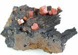Red Vanadinite Crystals on Manganese Oxide - Morocco #38505-1